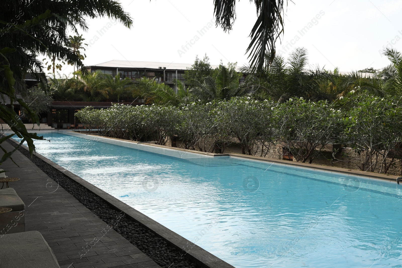 Outdoor swimming pool and green plants at luxury resort Photo of Outdoor swimming pool and green plants at luxury resort