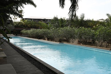 Photo of Outdoor swimming pool and green plants at luxury resort