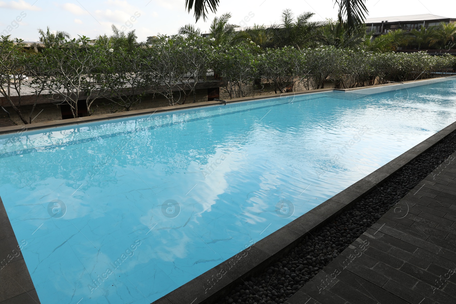 Outdoor swimming pool and green plants at luxury resort Photo of Outdoor swimming pool and green plants at luxury resort