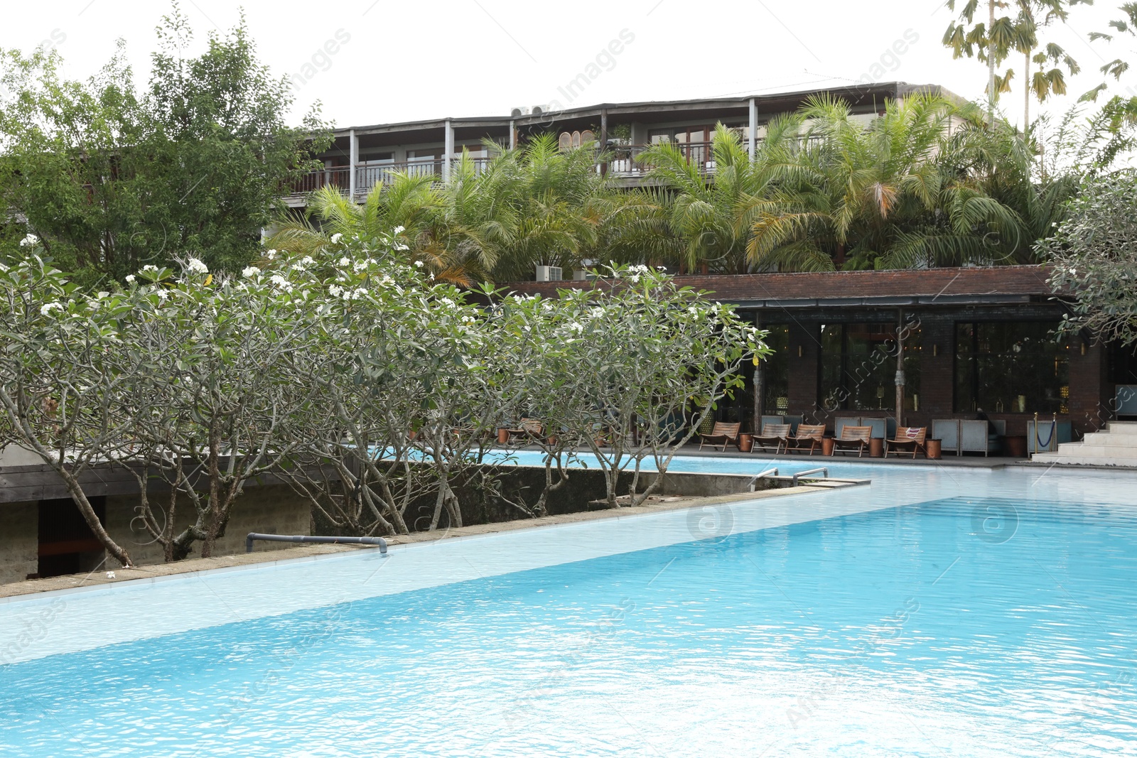 Outdoor swimming pool and green plants near building at luxury resort Photo of Outdoor swimming pool and green plants near building at luxury resort