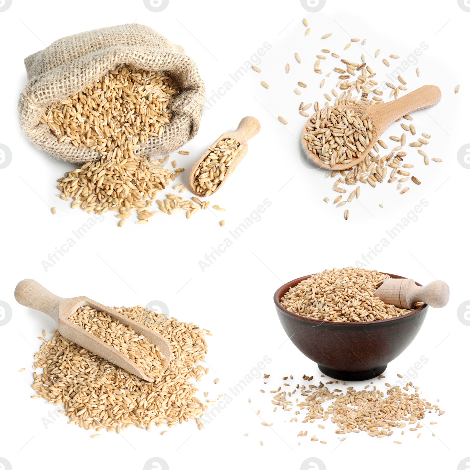 Image of Whole oat grains on white background, set