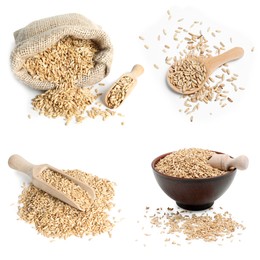 Image of Whole oat grains on white background, set