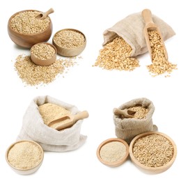Image of Whole oat grains, bran and rolled flakes isolated on white, set