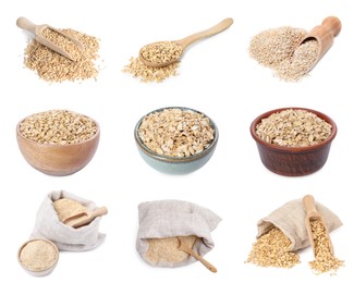Image of Oat bran, whole grains, powder and rolled flakes isolated on white, set