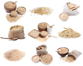 Image of Oat bran, whole grains and rolled flakes isolated on white, set