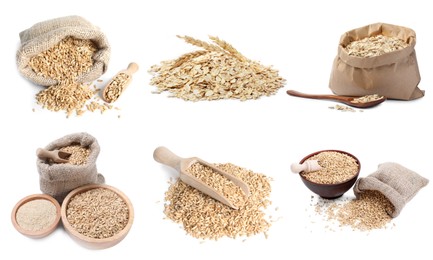 Image of Whole oat grains, bran and rolled flakes isolated on white, set