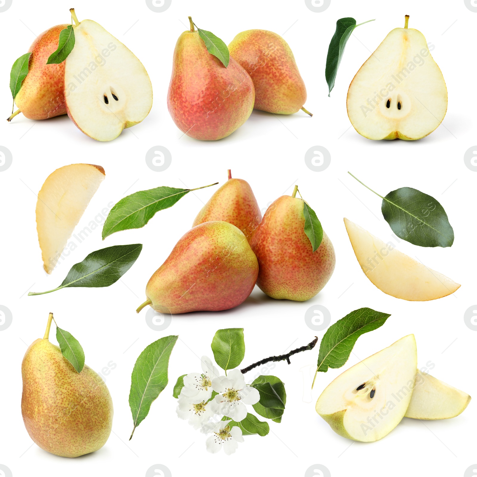 Fresh pears and green leaves on white background, collage Image of Fresh pears and green leaves on white background, collage