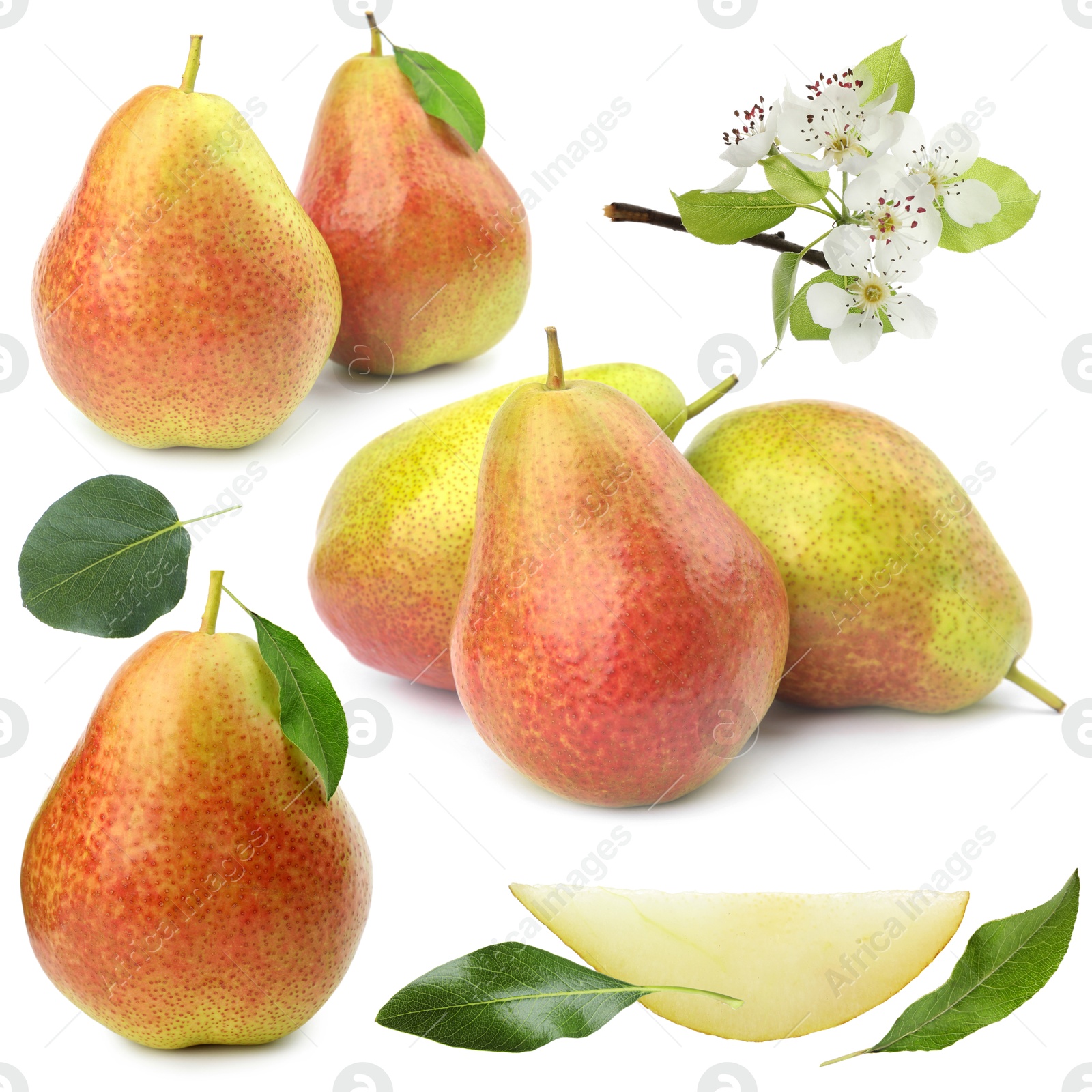 Fresh pears and green leaves on white background, collage Image of Fresh pears and green leaves on white background, collage