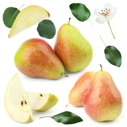 Image of Fresh pears and green leaves on white background, collage