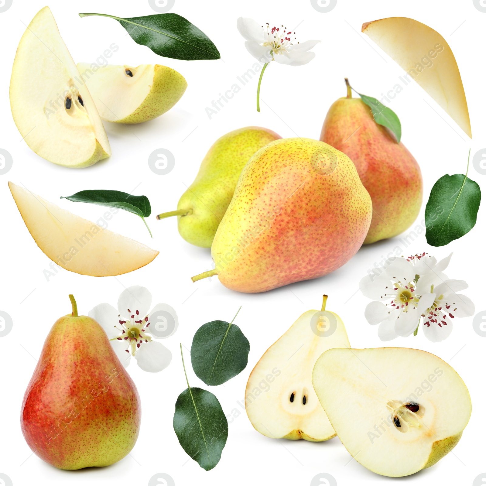 Fresh pears and green leaves on white background, collage Image of Fresh pears and green leaves on white background, collage