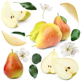 Image of Fresh pears and green leaves on white background, collage
