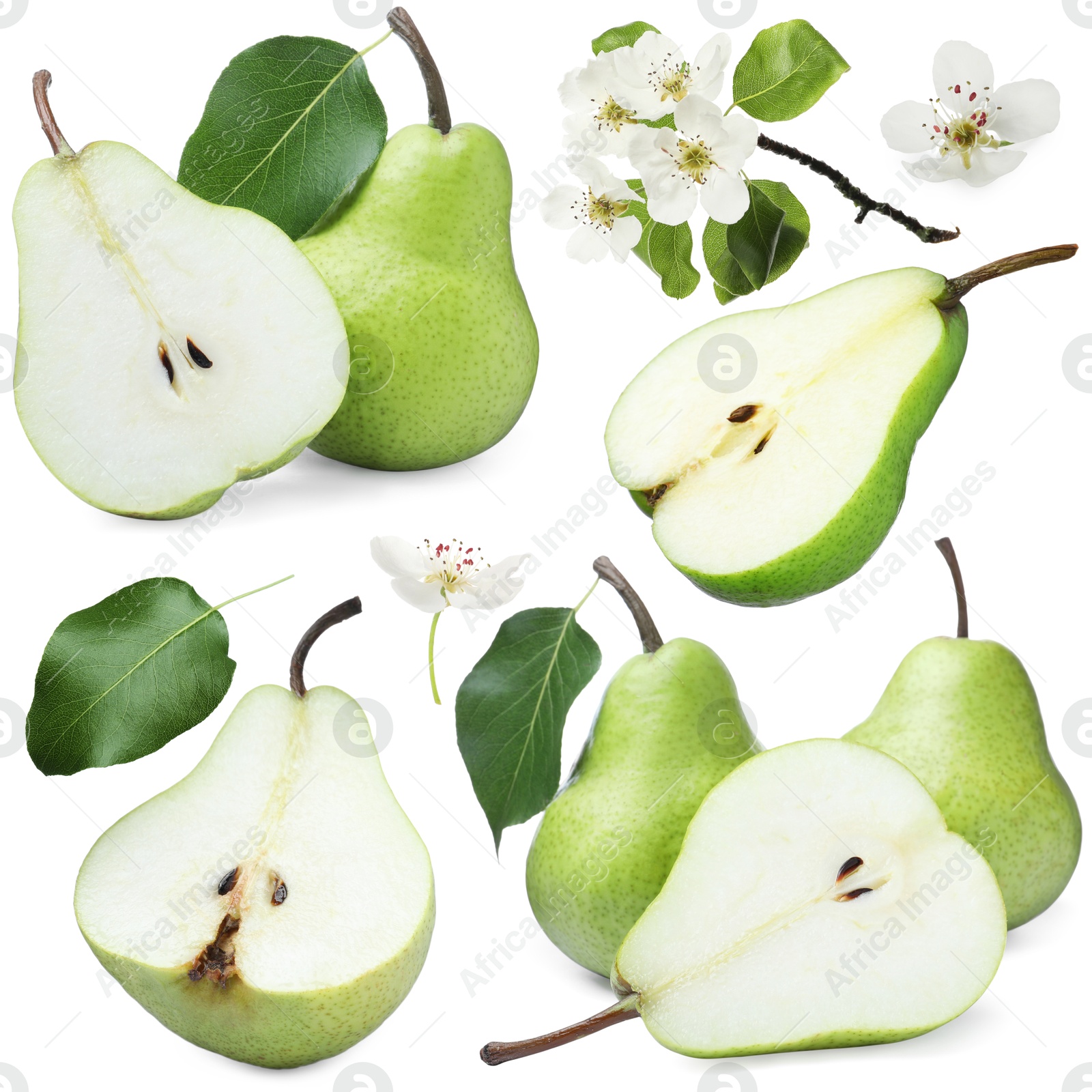 Fresh pears and green leaves on white background, collage Image of Fresh pears and green leaves on white background, collage