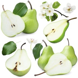 Image of Fresh pears and green leaves on white background, collage