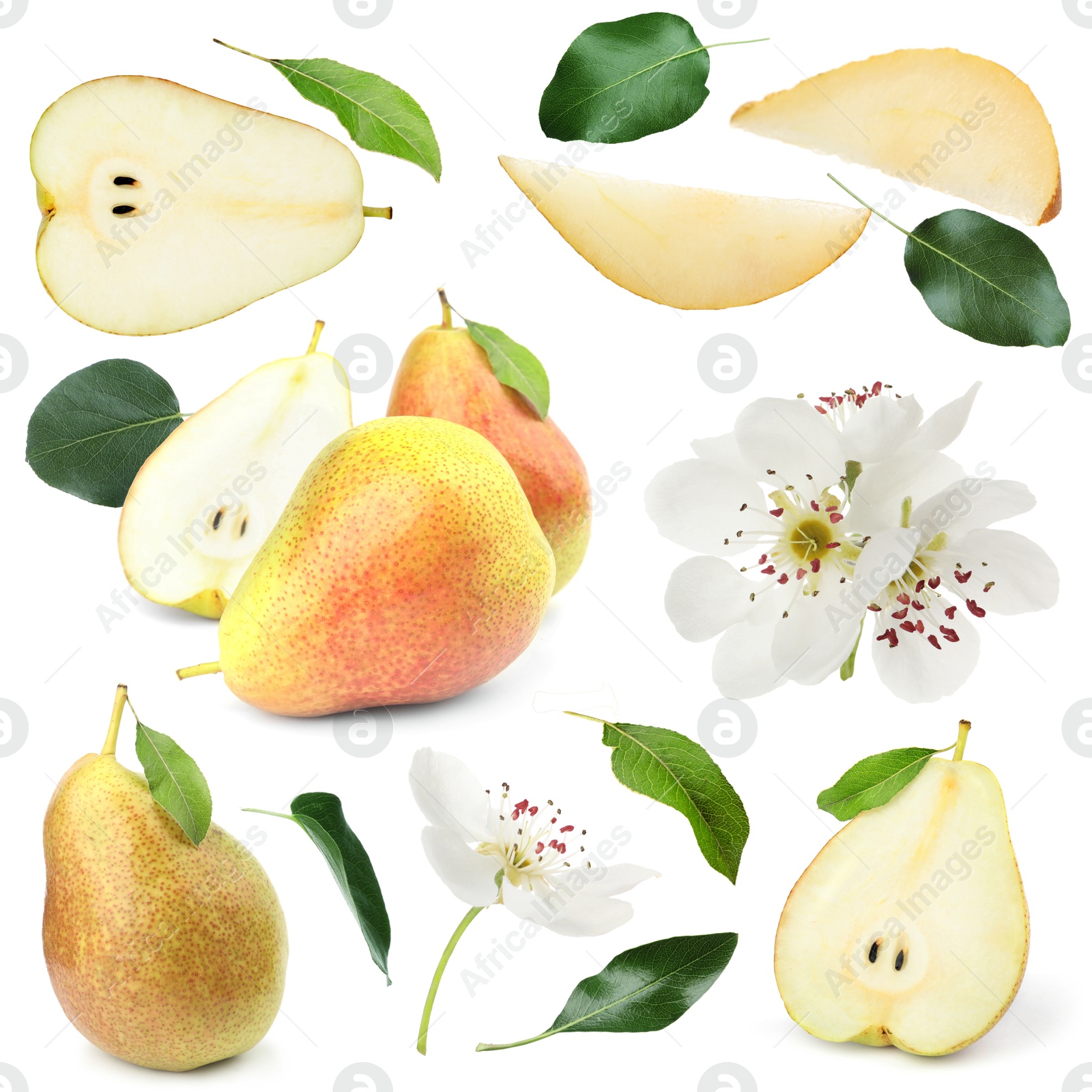 Fresh pears and green leaves on white background, collage Image of Fresh pears and green leaves on white background, collage