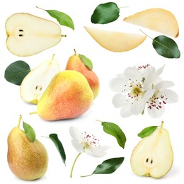 Image of Fresh pears and green leaves on white background, collage