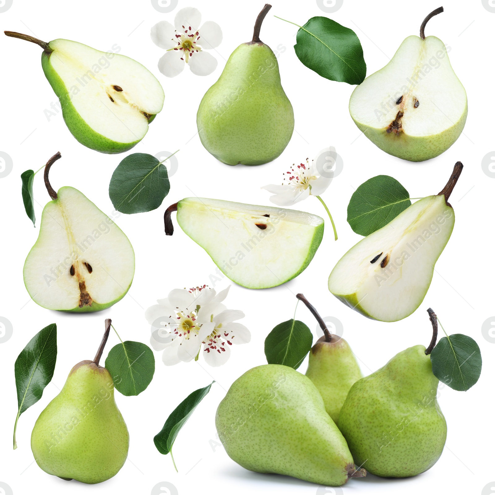 Fresh pears and green leaves on white background, collage Image of Fresh pears and green leaves on white background, collage