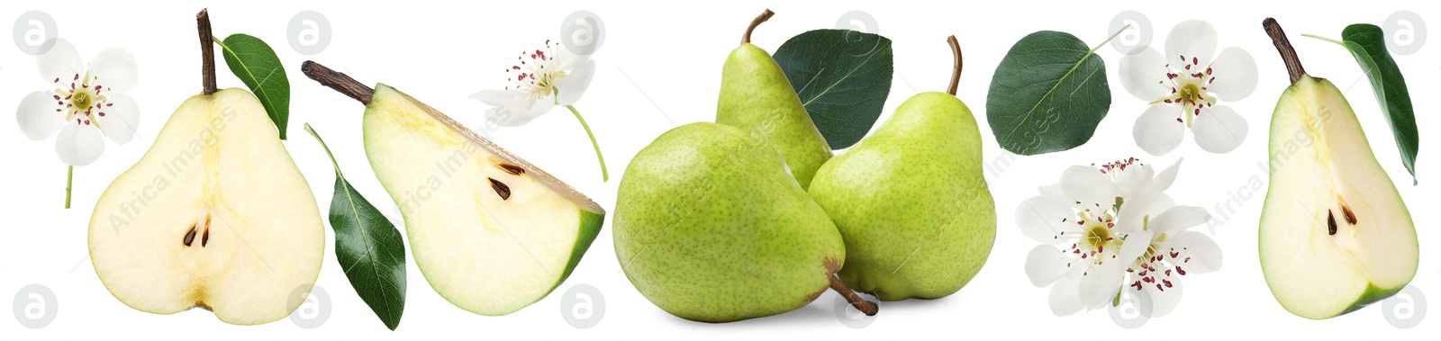 Fresh pears and green leaves on white background, set Image of Fresh pears and green leaves on white background, set