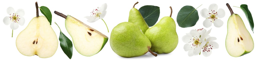 Image of Fresh pears and green leaves on white background, set