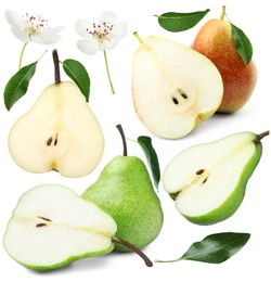Image of Fresh pears and green leaves on white background, collage