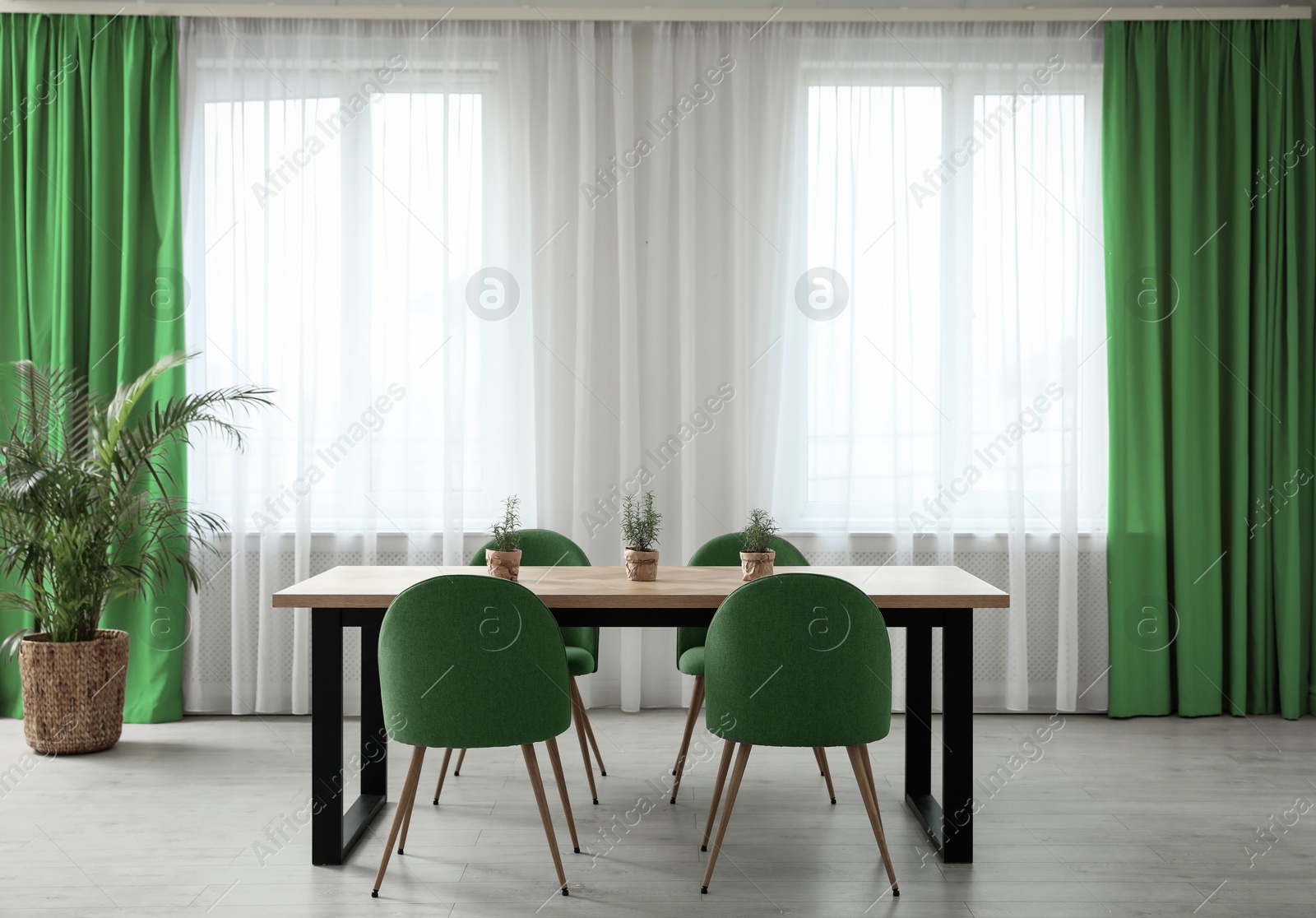 Dining room interior with green color accent Image of Dining room interior with green color accent