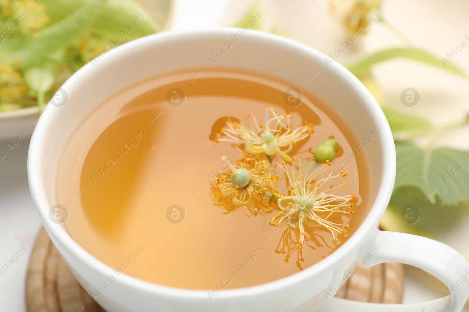 Fresh linden tea in cup and flowers on white table, closeup Photo of Fresh linden tea in cup and flowers on white table, closeup