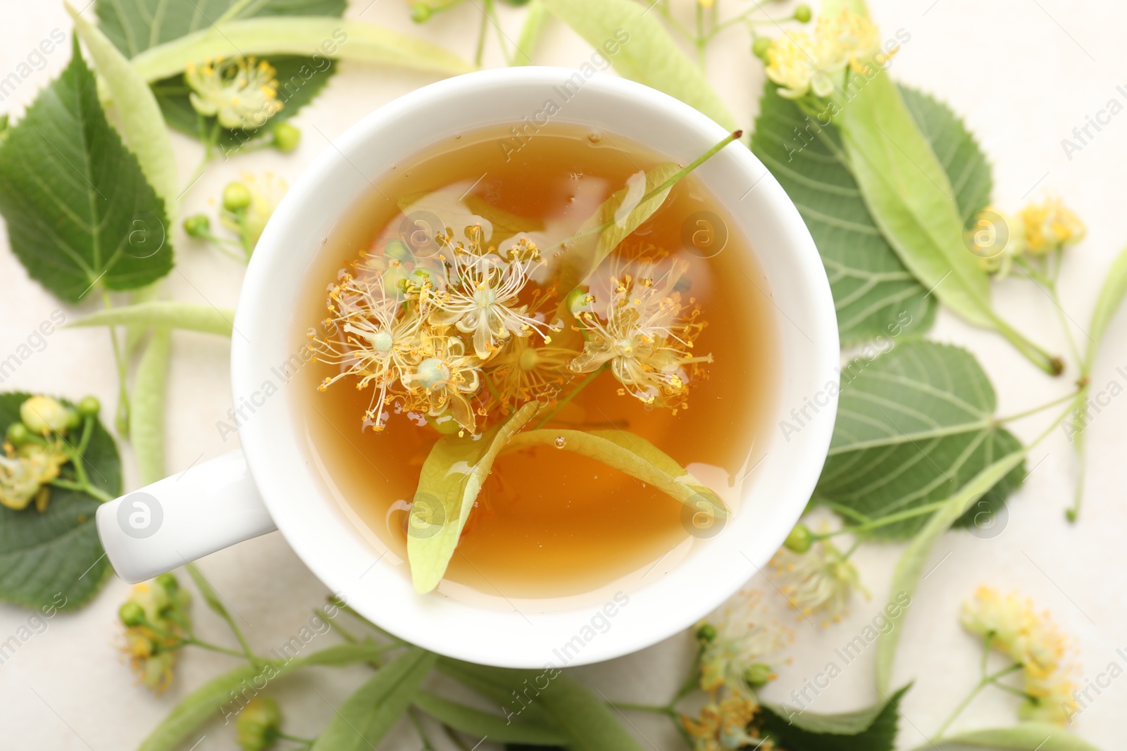 Fresh linden tea in cup and flowers on white table, flat lay Photo of Fresh linden tea in cup and flowers on white table, flat lay