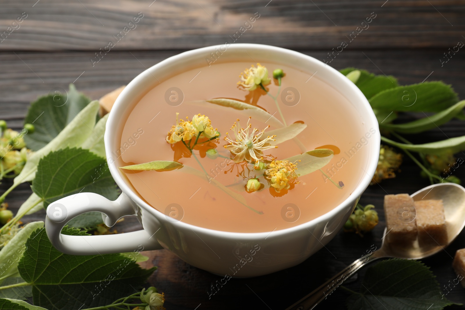 Fresh linden tea in cup, sugar cubes and flowers on dark wooden table, closeup Photo of Fresh linden tea in cup, sugar cubes and flowers on dark wooden table, closeup