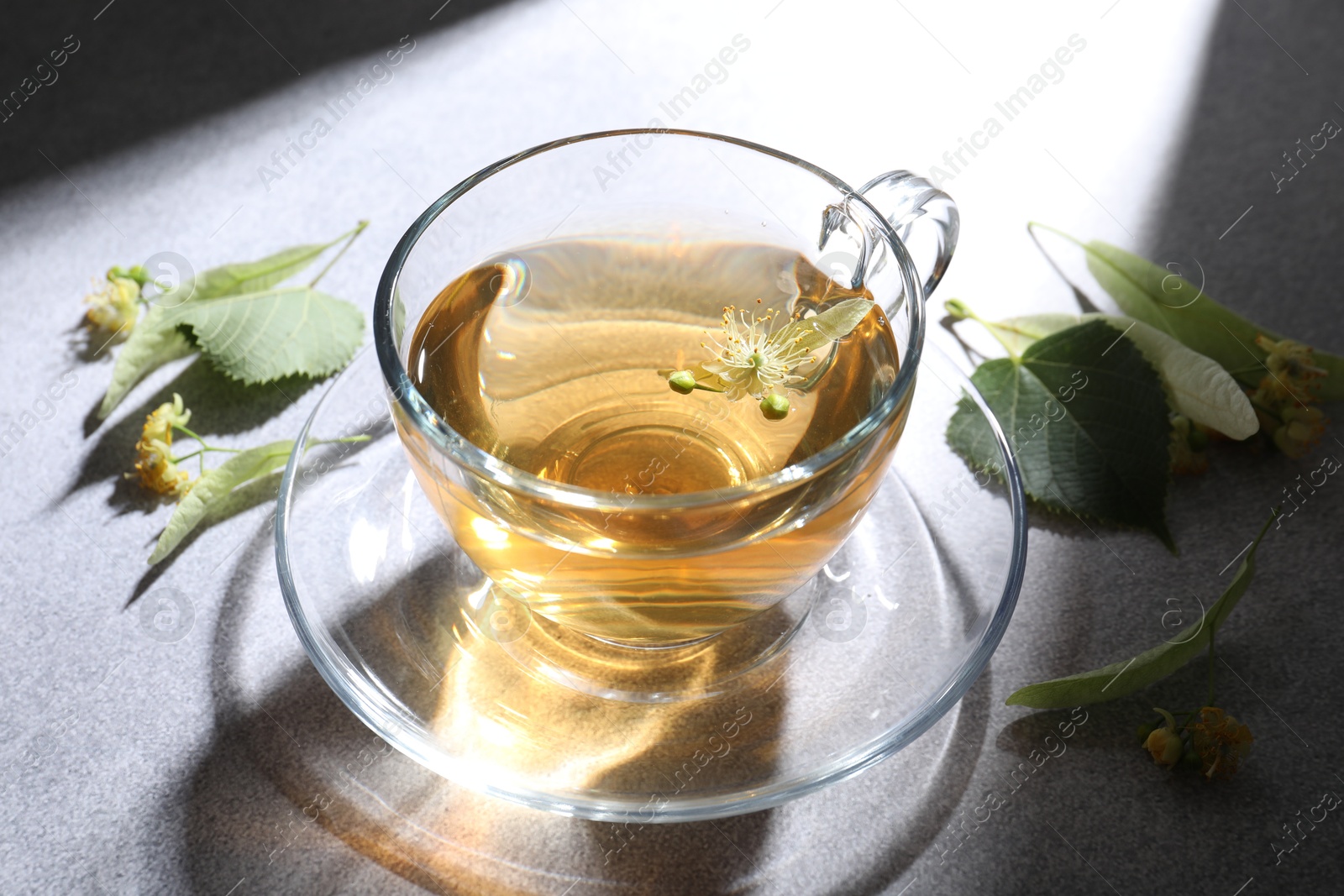 Fresh linden tea in cup and flowers on light grey table, closeup Photo of Fresh linden tea in cup and flowers on light grey table, closeup