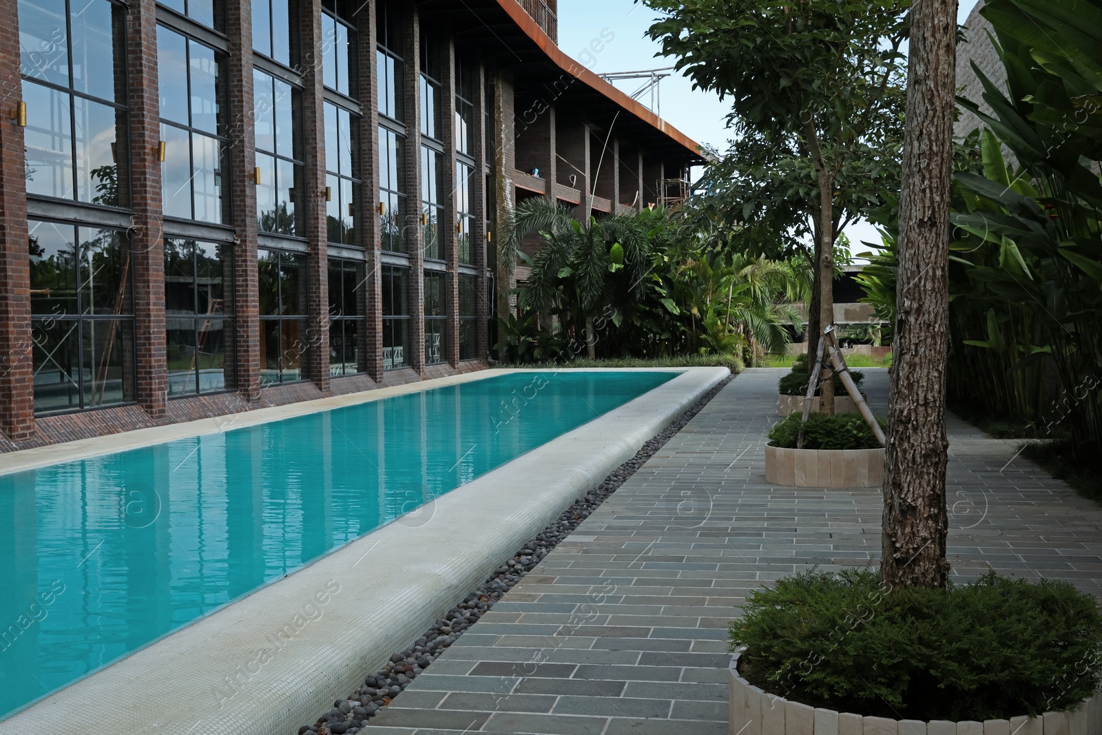 Outdoor swimming pool and green plants near building at luxury resort Photo of Outdoor swimming pool and green plants near building at luxury resort