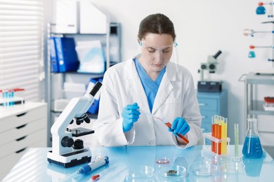 Photo of Scientist working with sample in Petri dish at table in laboratory