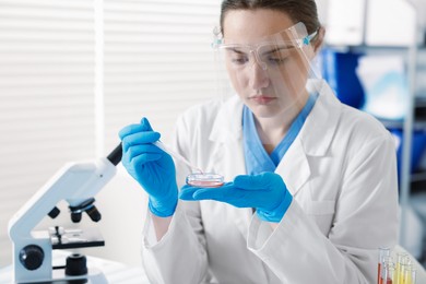 Photo of Scientist working with sample in Petri dish in laboratory