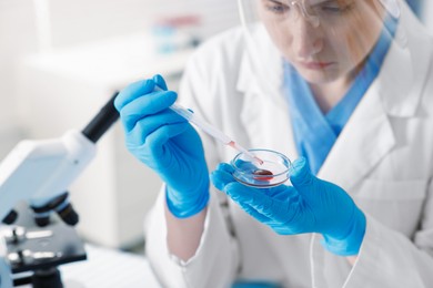Photo of Scientist working with sample in Petri dish in laboratory, selective focus