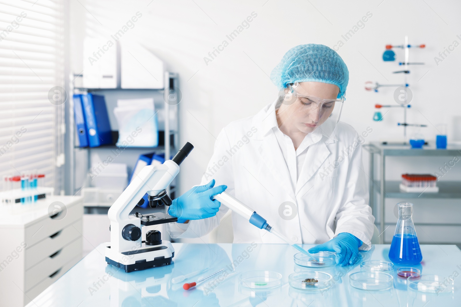 Scientist working with sample in Petri dish at table in laboratory Photo of Scientist working with sample in Petri dish at table in laboratory
