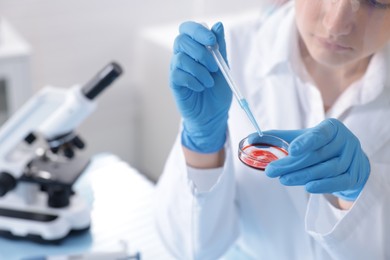 Photo of Scientist working with sample in Petri dish at table in laboratory, closeup