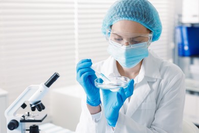 Photo of Scientist working with sample in Petri dish in laboratory