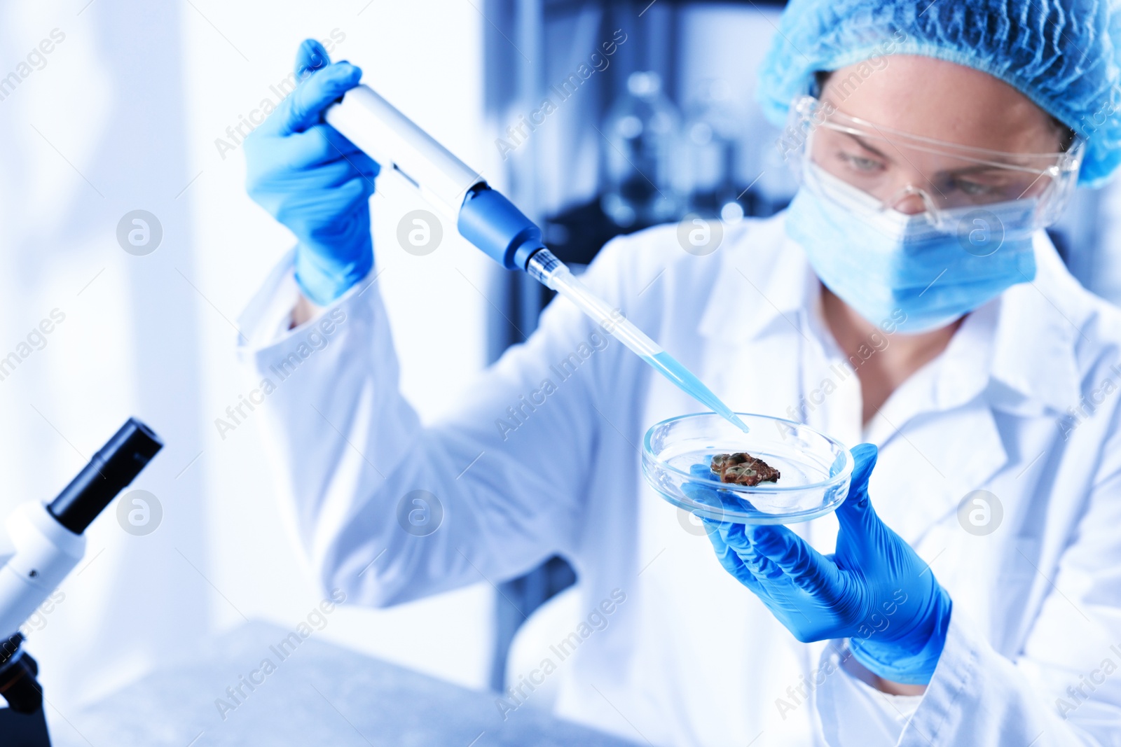 Scientist working with sample in Petri dish in laboratory, selective focus Photo of Scientist working with sample in Petri dish in laboratory, selective focus