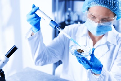 Photo of Scientist working with sample in Petri dish in laboratory, selective focus