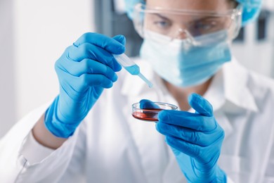 Photo of Scientist working with sample in Petri dish in laboratory, selective focus