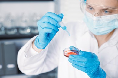 Photo of Scientist working with sample in Petri dish in laboratory, selective focus