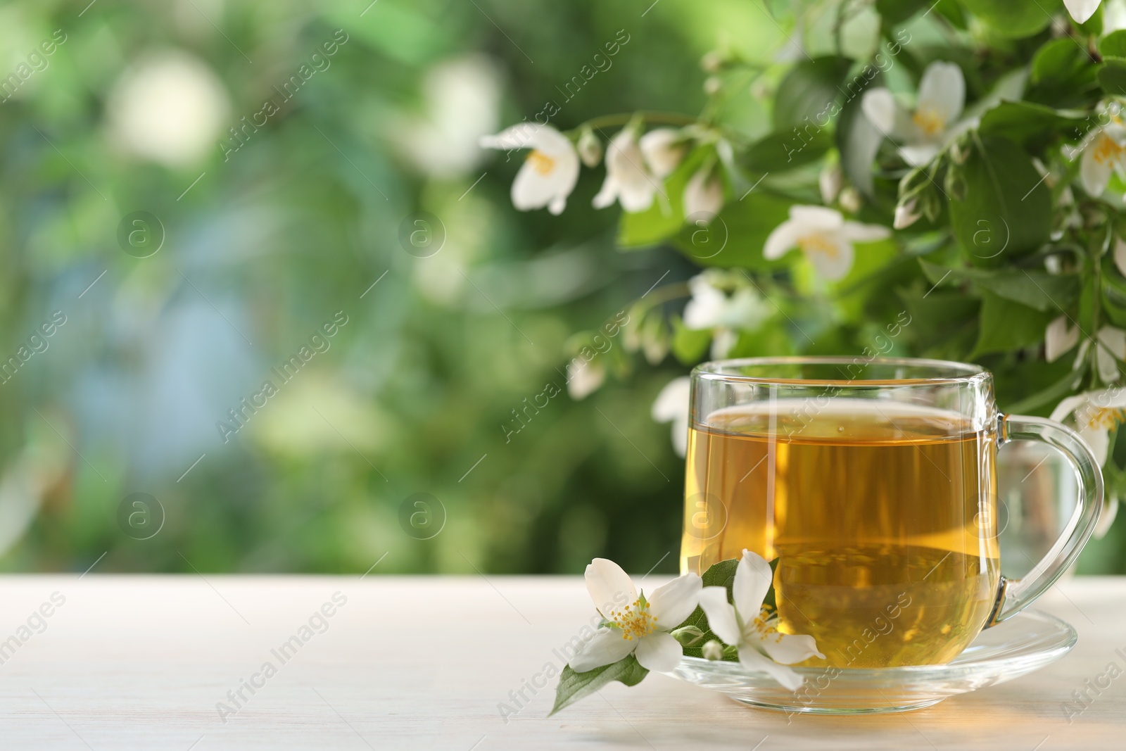 Tasty jasmine tea in cup and flowers at white wooden table, closeup. Space for text Photo of Tasty jasmine tea in cup and flowers at white wooden table, closeup. Space for text
