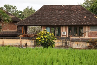 Photo of View of villa and different plants at resort