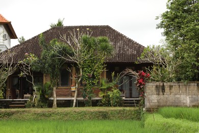 Photo of View of villa and different plants at resort