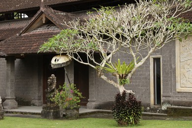 Photo of Bali, Indonesia - May 31, 2025: Villa and different plants at resort