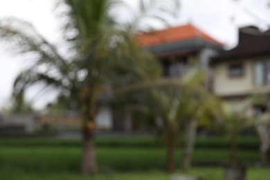 Photo of Blurred view of trees in hotel garden