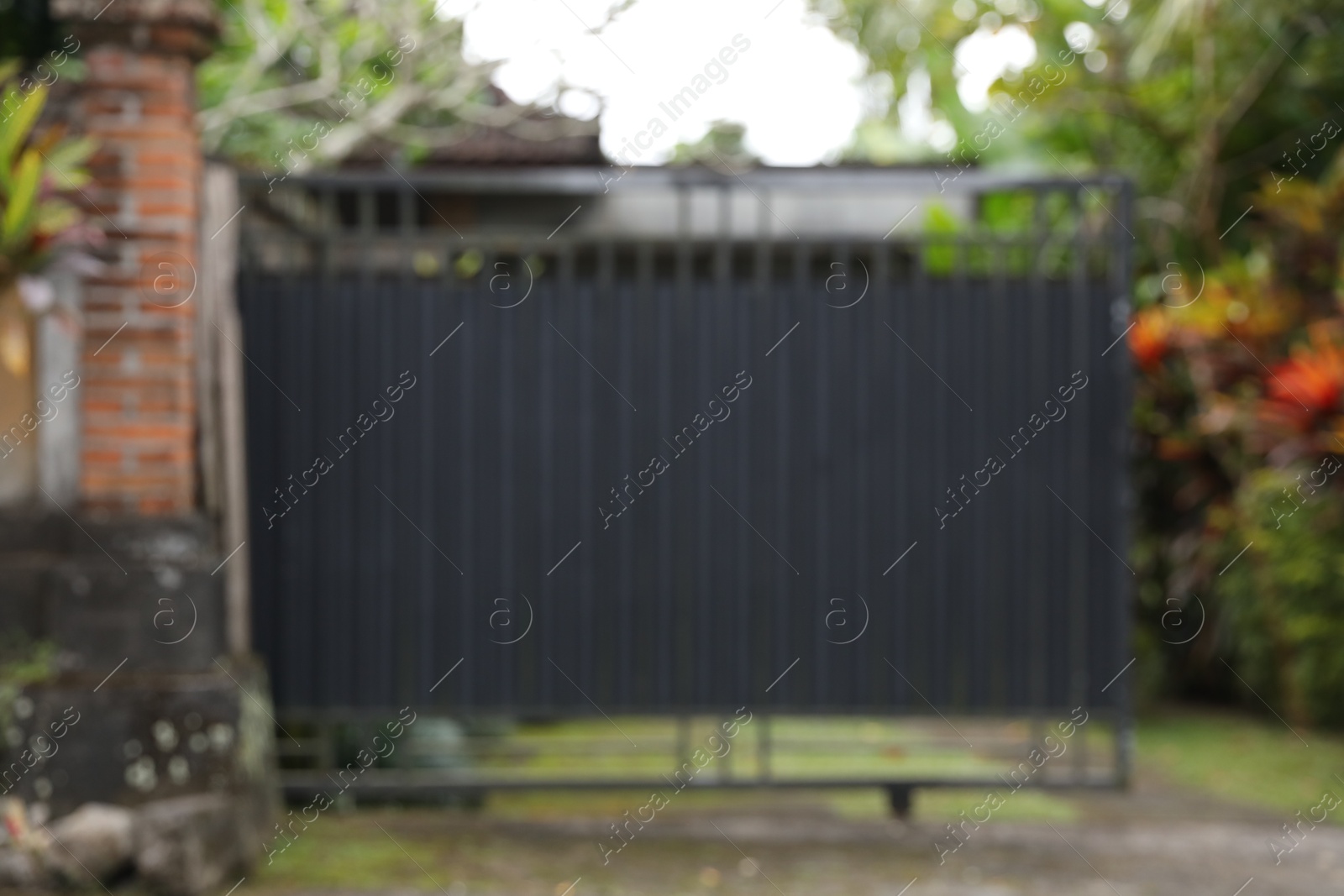 Blurred view of closed gate and green plants Photo of Blurred view of closed gate and green plants