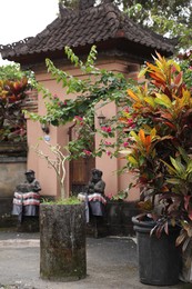 Photo of Bali, Indonesia - May 31, 2025: Beautiful potted plants near temple