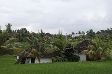 Photo of Villas and vibrant wild plants at resort