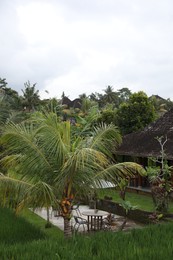 Photo of Tables with chairs and different plants at resort