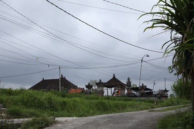 Photo of View of road and different plants in countryside