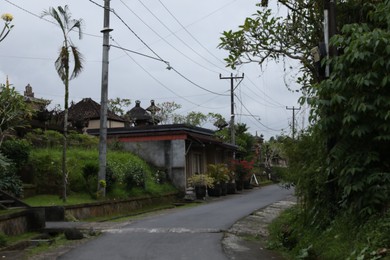 Photo of View of road and different plants in countryside
